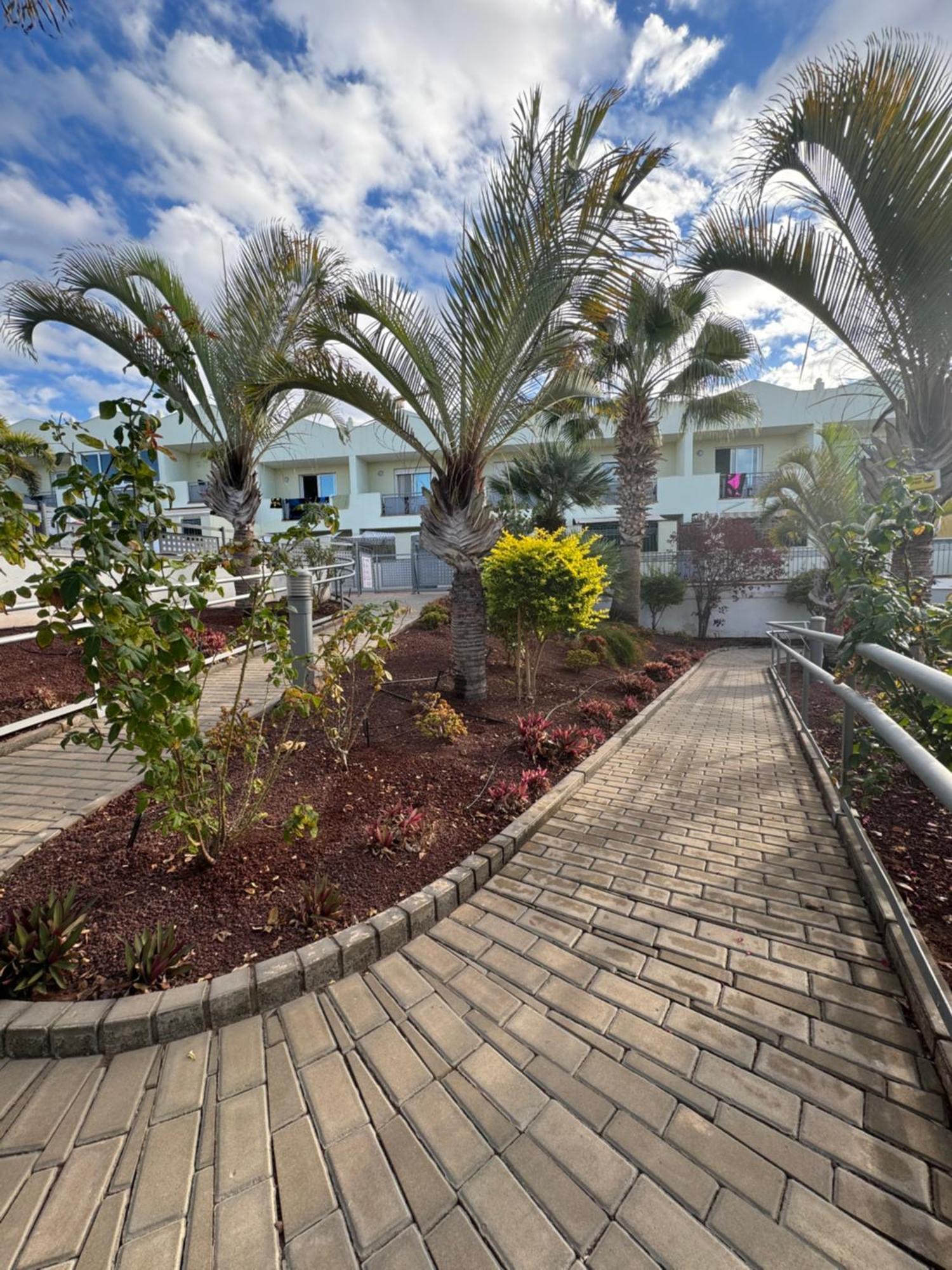 Oasis-Family Townhouse Lägenhet Costa Adeje  Exteriör bild
